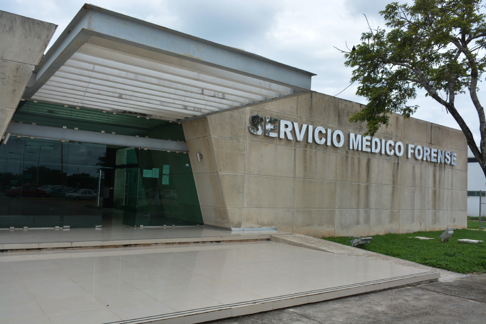 En Mérida han ocurrido 58 de estos fallecimientos, lo que equivale al 68.2 por ciento