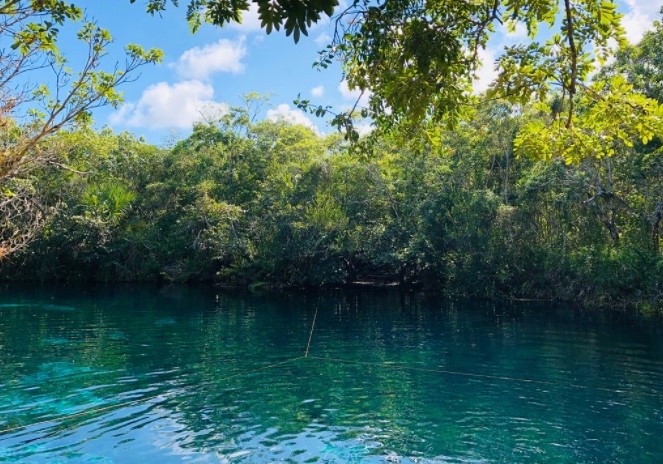 La bellleza del agua en el Cenote Carwash en Tulum