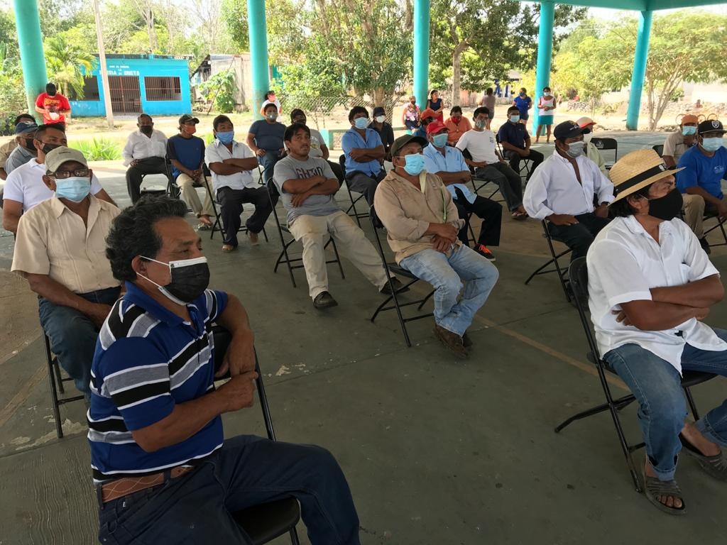 Quintana Roo, tiene un gran potencial para despuntar en la producción de miel