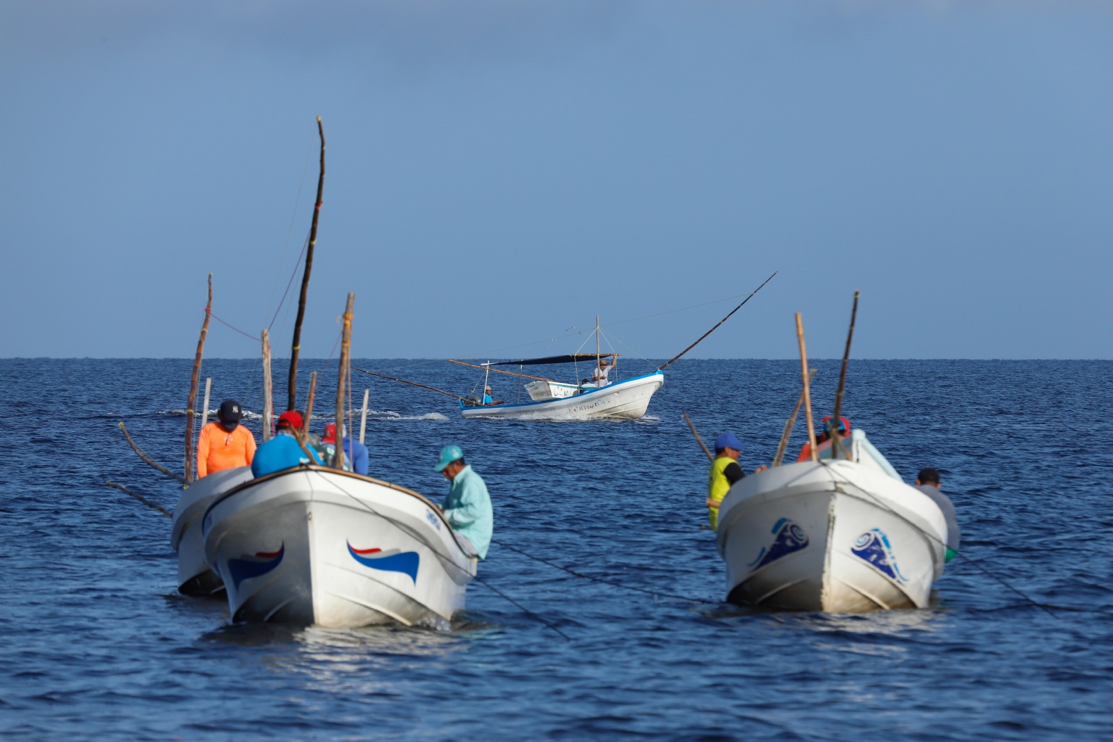 La pesca es la principal actividad económica de varios puntos en toda la costa de Yucatán La pesca es la principal actividad económica de varios puntos en toda la costa de Yucatán