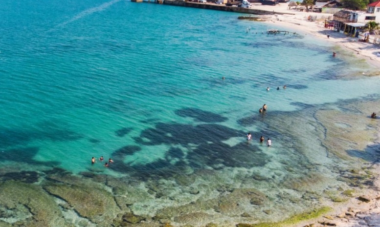 En el lugar también se pueden apreciar algunos delfines que regalan un espectáculo a los bañistas En el lugar también se pueden apreciar algunos delfines que regalan un espectáculo a los bañistas