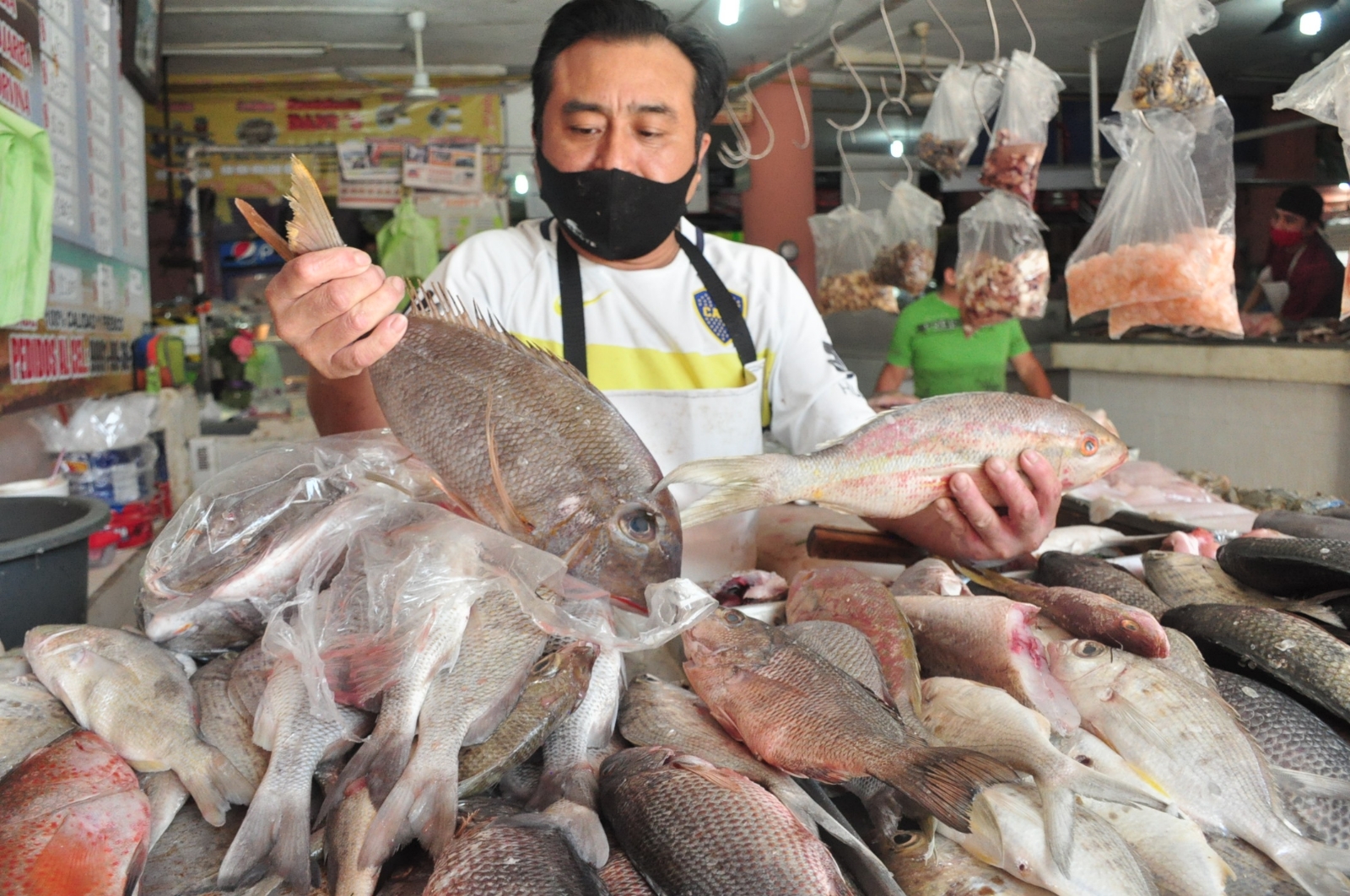 Se reunieron muestras de ADN a pescados en Yucatán.