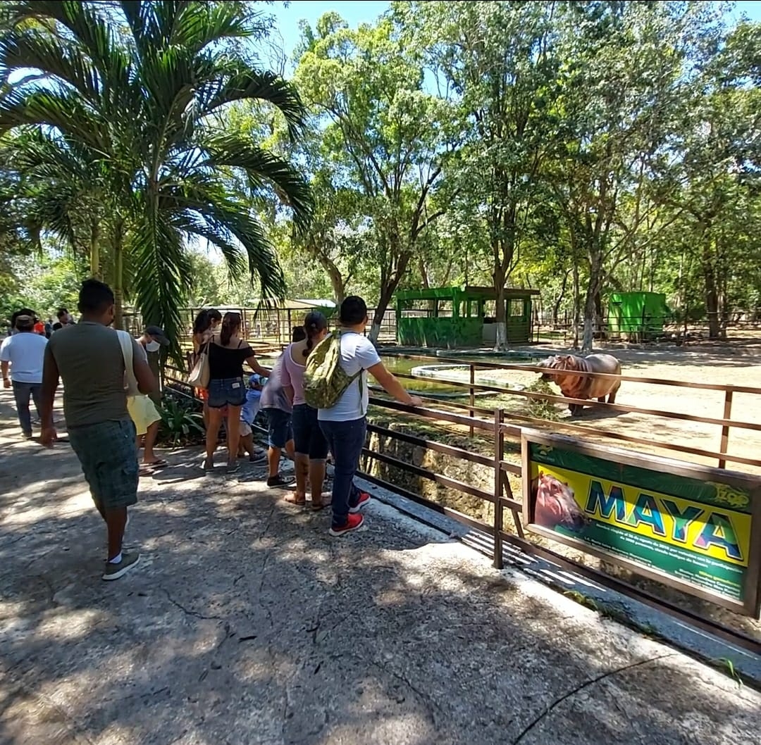 Para mantener las medidas sanitarias, la administración del parque determinó no exceder el límite de 750 personas