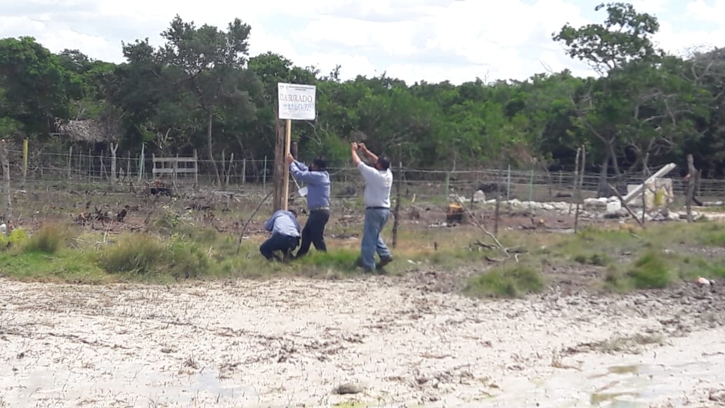 Aunque no encontraron a los causantes, procedieron a la colocación de los sellos correspondientes en el terreno Aunque no encontraron a los causantes, procedieron a la colocación de los sellos correspondientes en el terreno