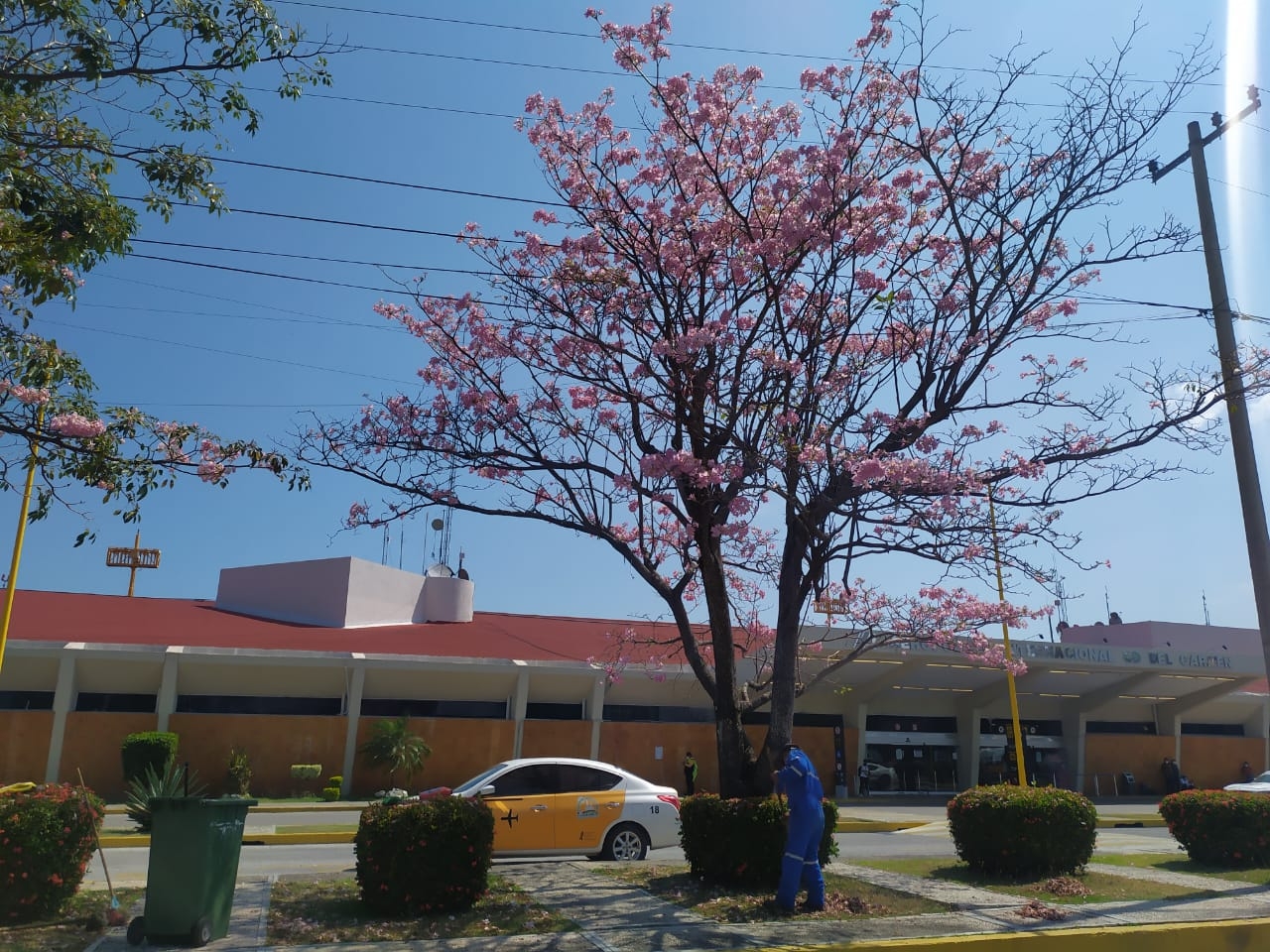 Aeropuerto de Ciudad del Carmen se pinta de color rosa