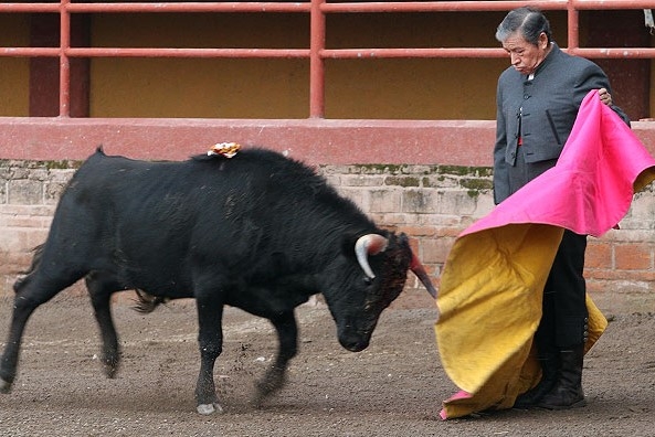 El torero en una presentación El torero en una presentación