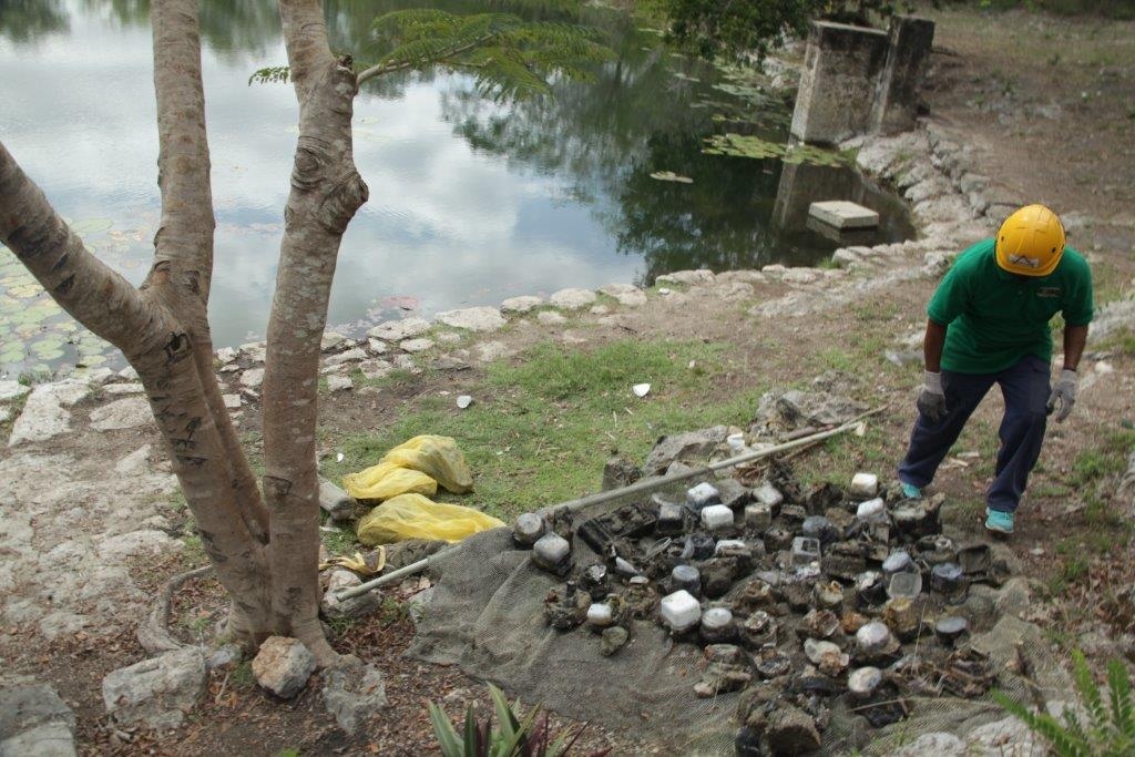 Se cuestiona sobre si los metales pesados de los medidores fue lo que originó la muerte de peces