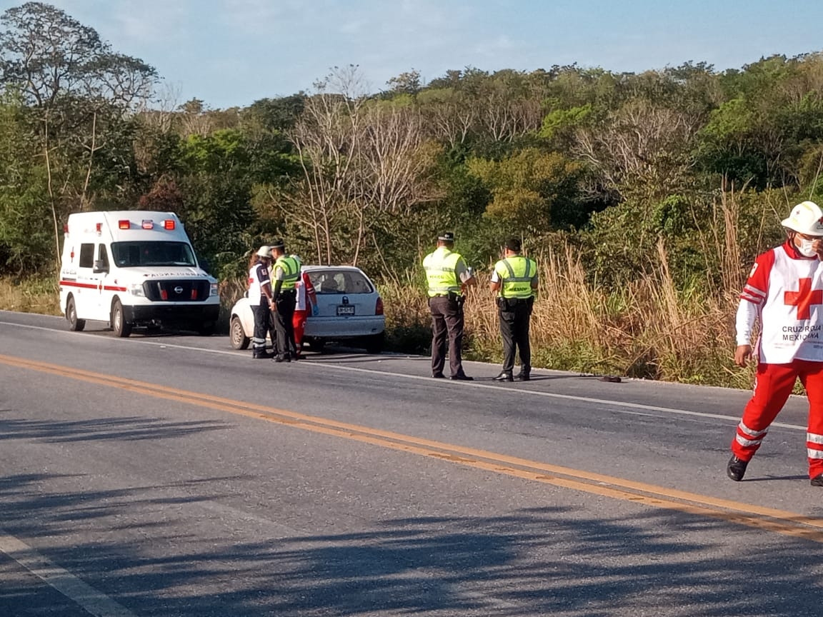 Las autoridades presumen que “Lazaro” habría muerto al instante y que el conductor huyó a pesar de estar herido Las autoridades presumen que “Lazaro” habría muerto al instante y que el conductor huyó a pesar de estar herido