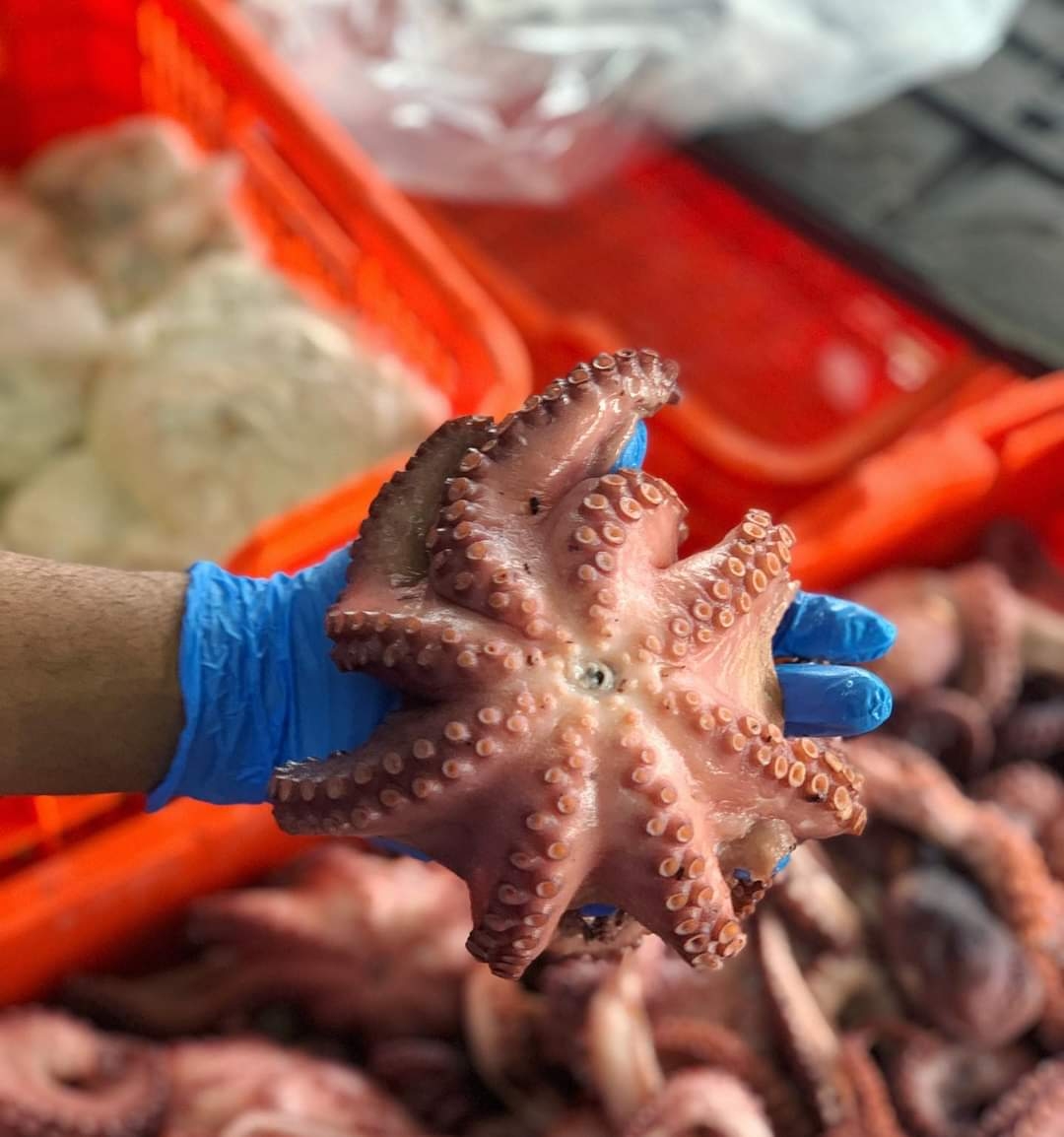 Autoridades indicaron que sí hay sanciones, pero que se han retardado por la pandemia