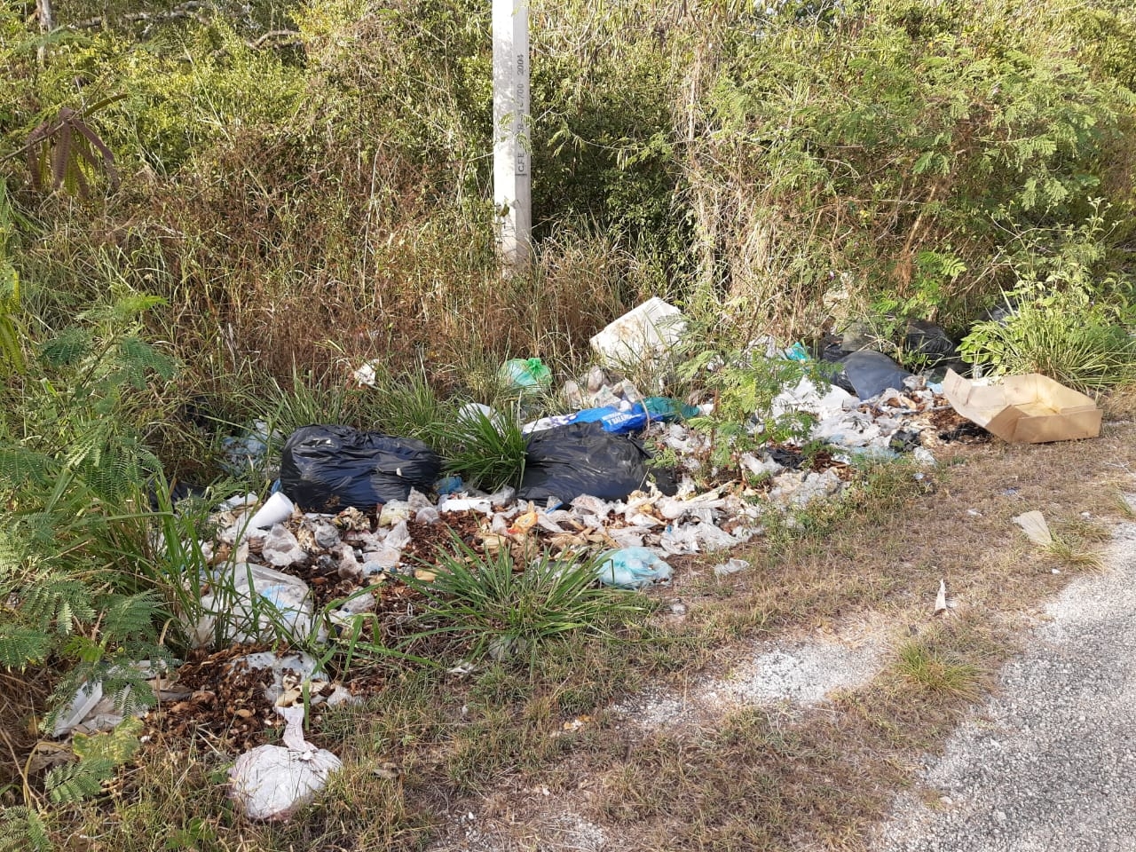 Con basura y maleza es como luce esta infraestructura