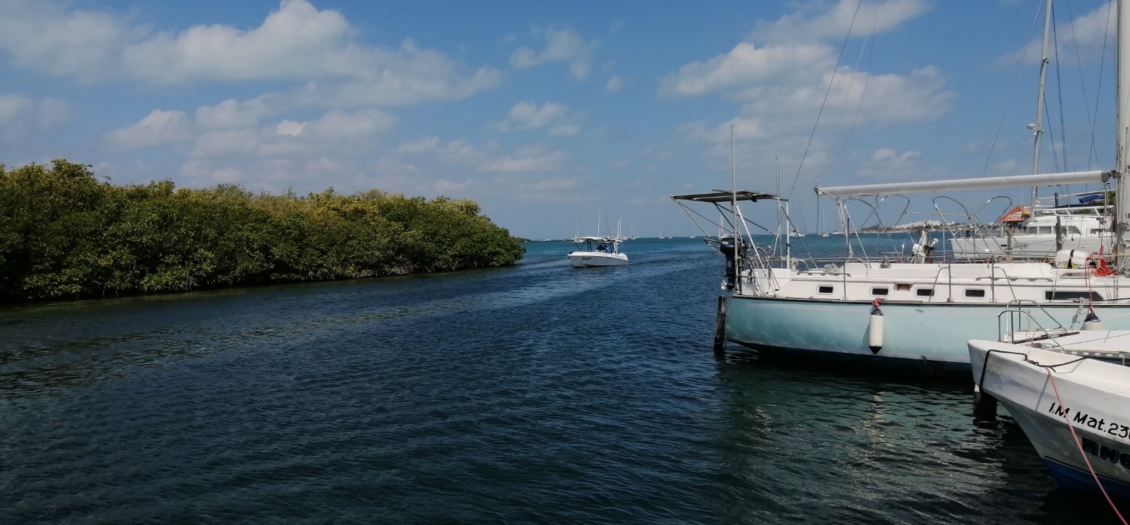 Contaminan la Laguna Makax en Isla Mujeres; construyen muelles y cortan manglares