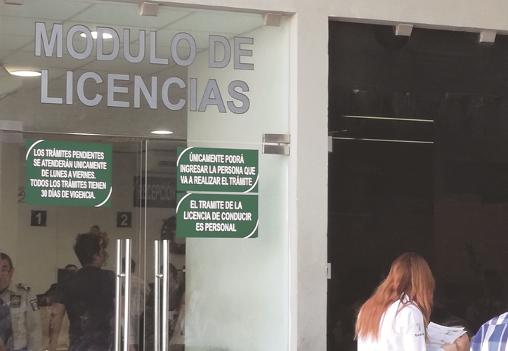 Licencia de conducir en Yucatán: Cómo obtener o renovar el trámite vehicular en línea