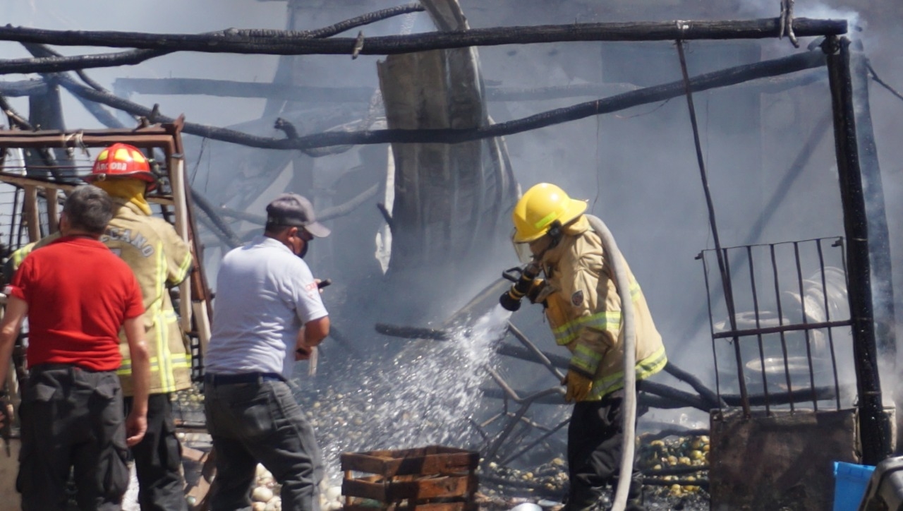 En cuestión de segundos una palapa se vio “devorada” por el fuego reduciéndose a cenizas