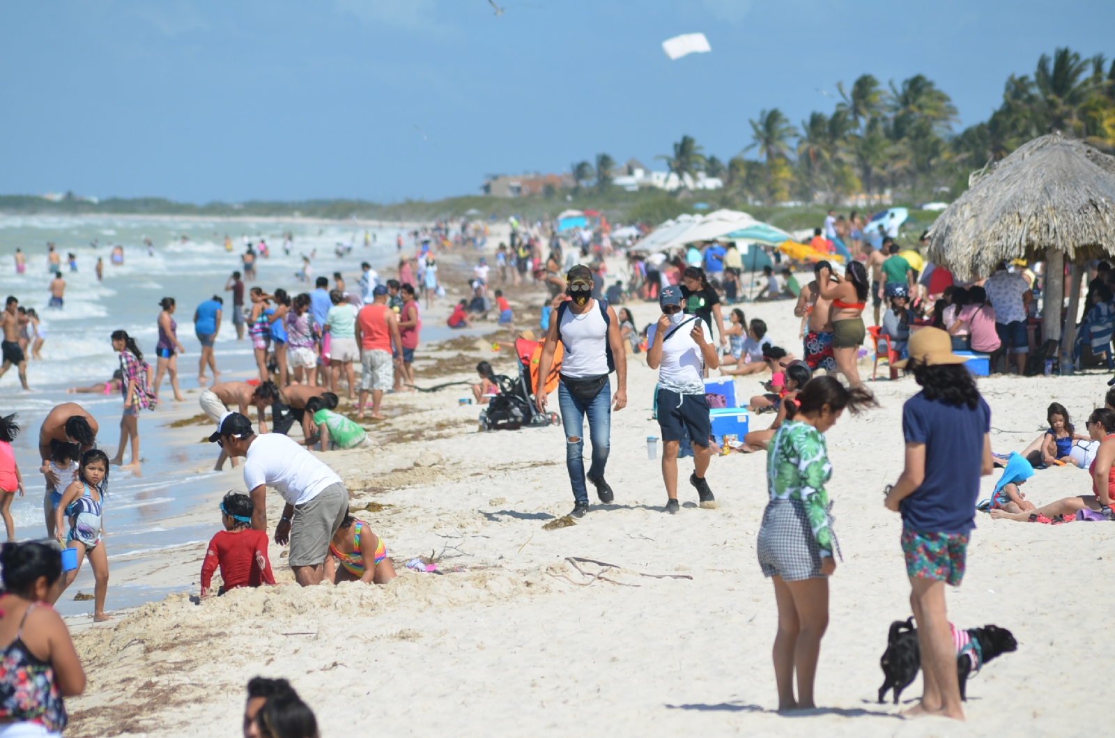 Autoridades informaron que los visitantes aún tendrán acceso al puerto