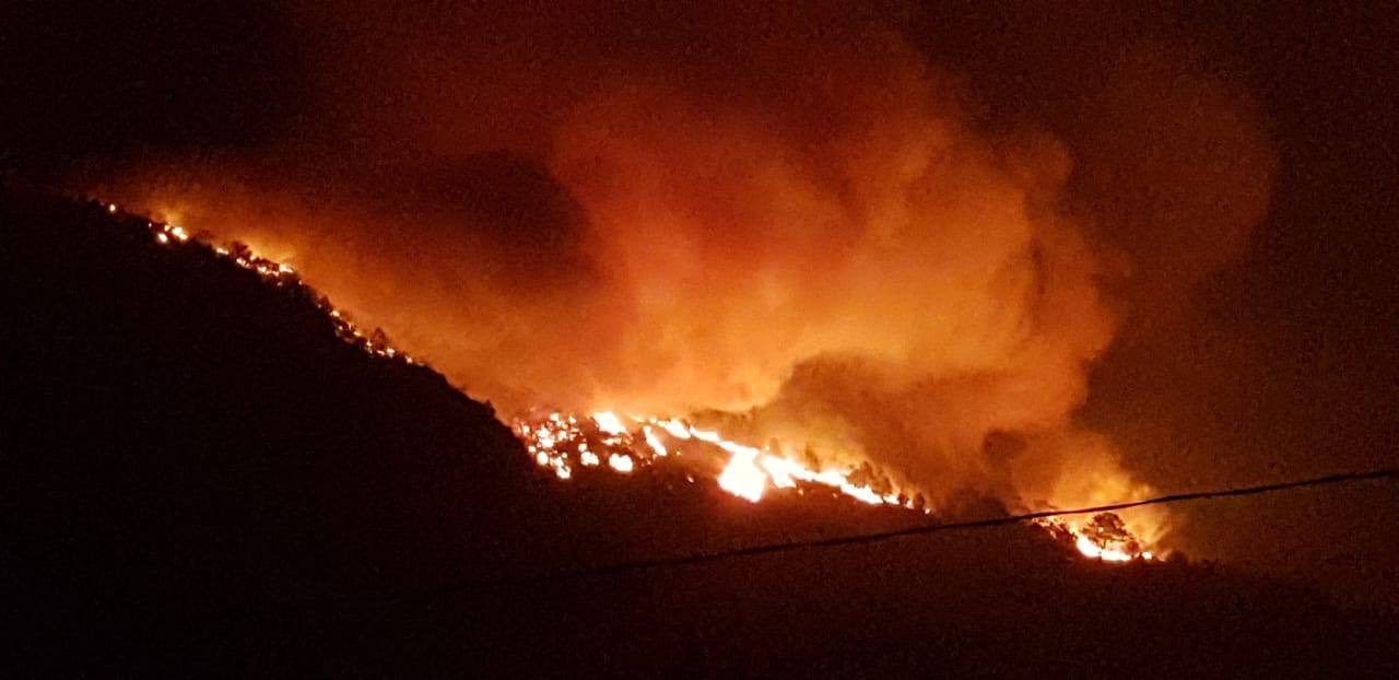 Imagen del fuego devorando la vegetación