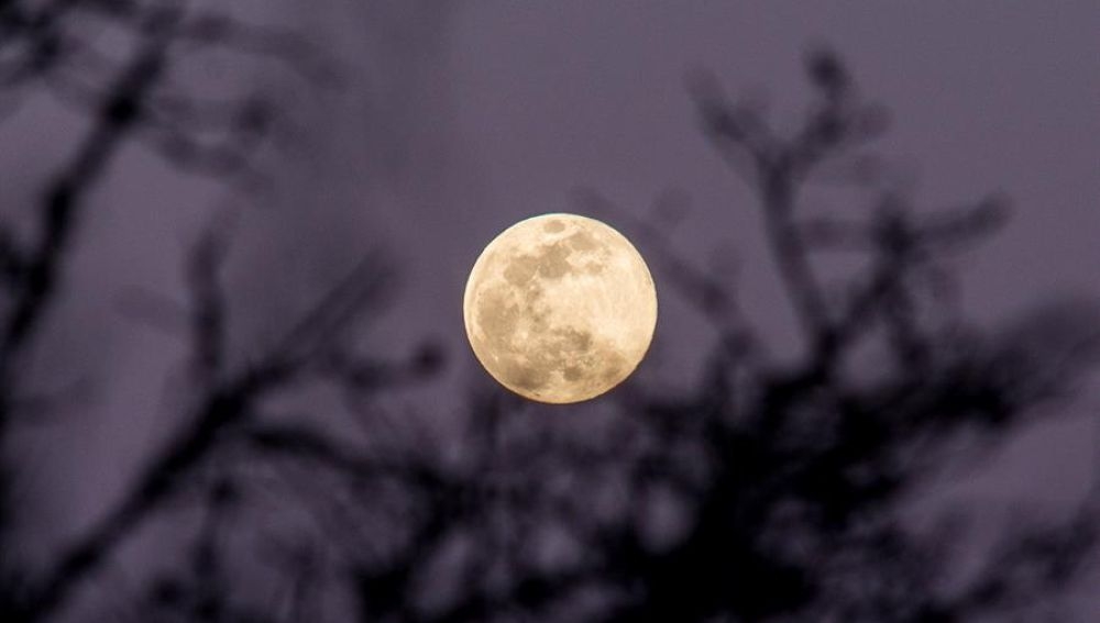 Este domingo se espera la primera superluna del año Este domingo se espera la primera superluna del año