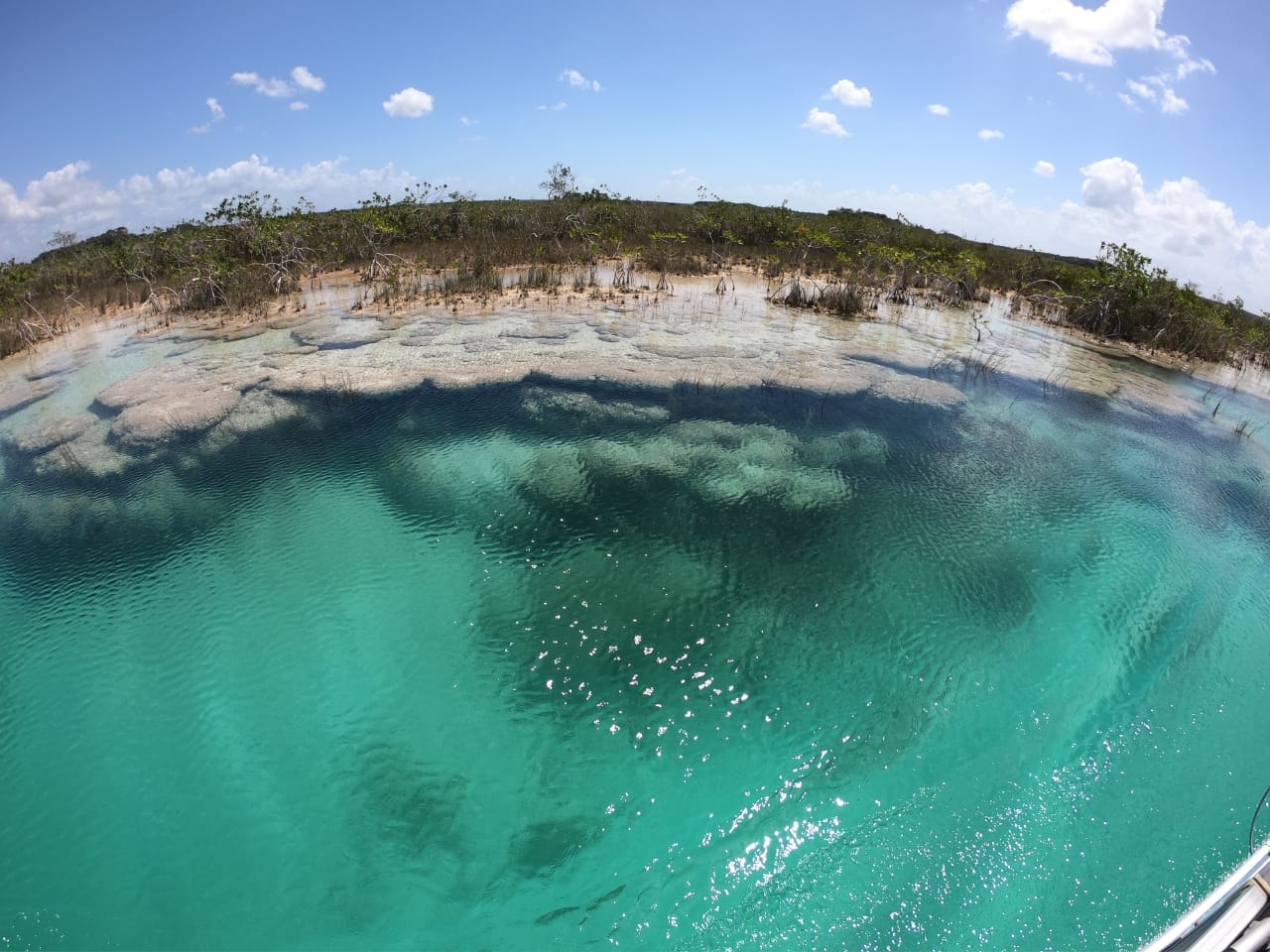 A simple vista, parecieran sólo unas rocas a la orilla de la laguna, sin embargo tienen una gran importancia y es necesaria su preservación