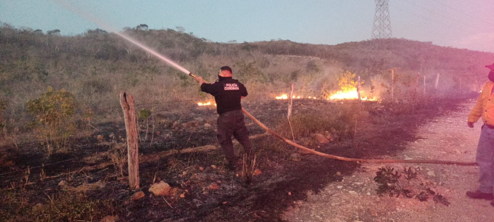 Autoridades señalaron que muchos de estos incendios son provocados por la gente