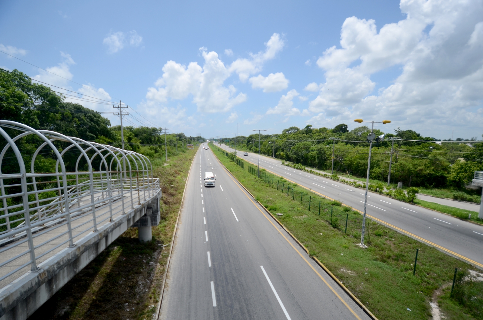 El tren atraviesa ecosistemas muy frágiles. El tren atraviesa ecosistemas muy frágiles.