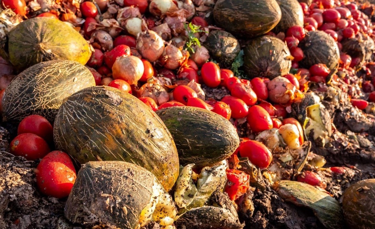 La ONU reportó que se tira a la basura grandes cantidades de alimentos