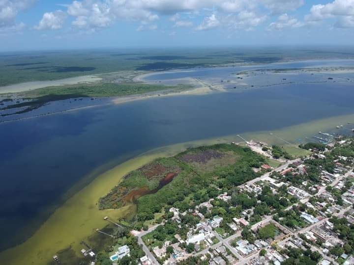Gran cantidad de nutrientes y agroquímicos llegaron a la laguna