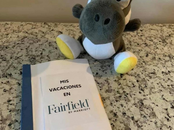 El peluche fue olvidado por un menor en Baja California El peluche fue olvidado por un menor en Baja California