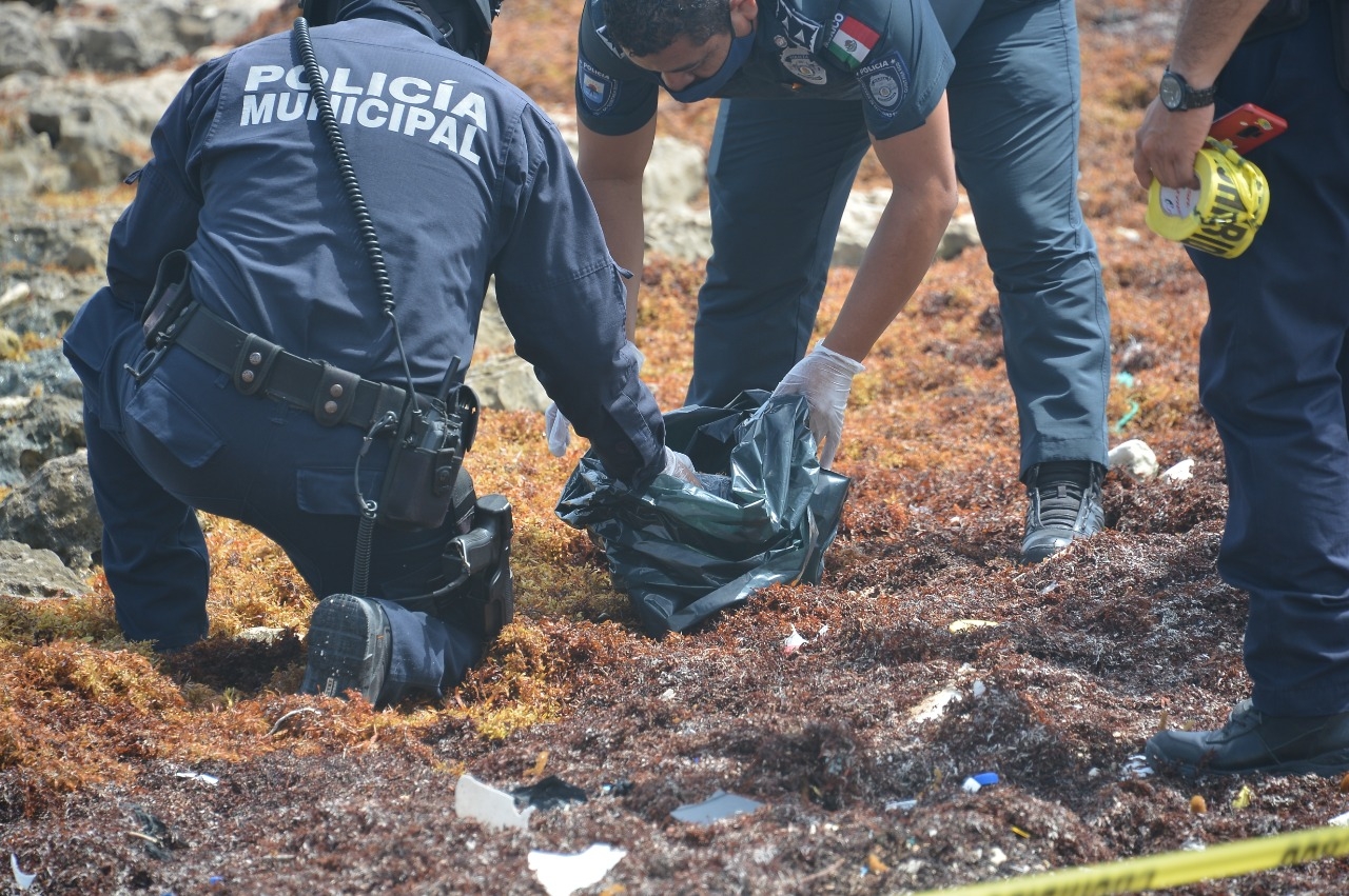 La evidencia fue traslada a las instalaciones de la policía local La evidencia fue traslada a las instalaciones de la policía local