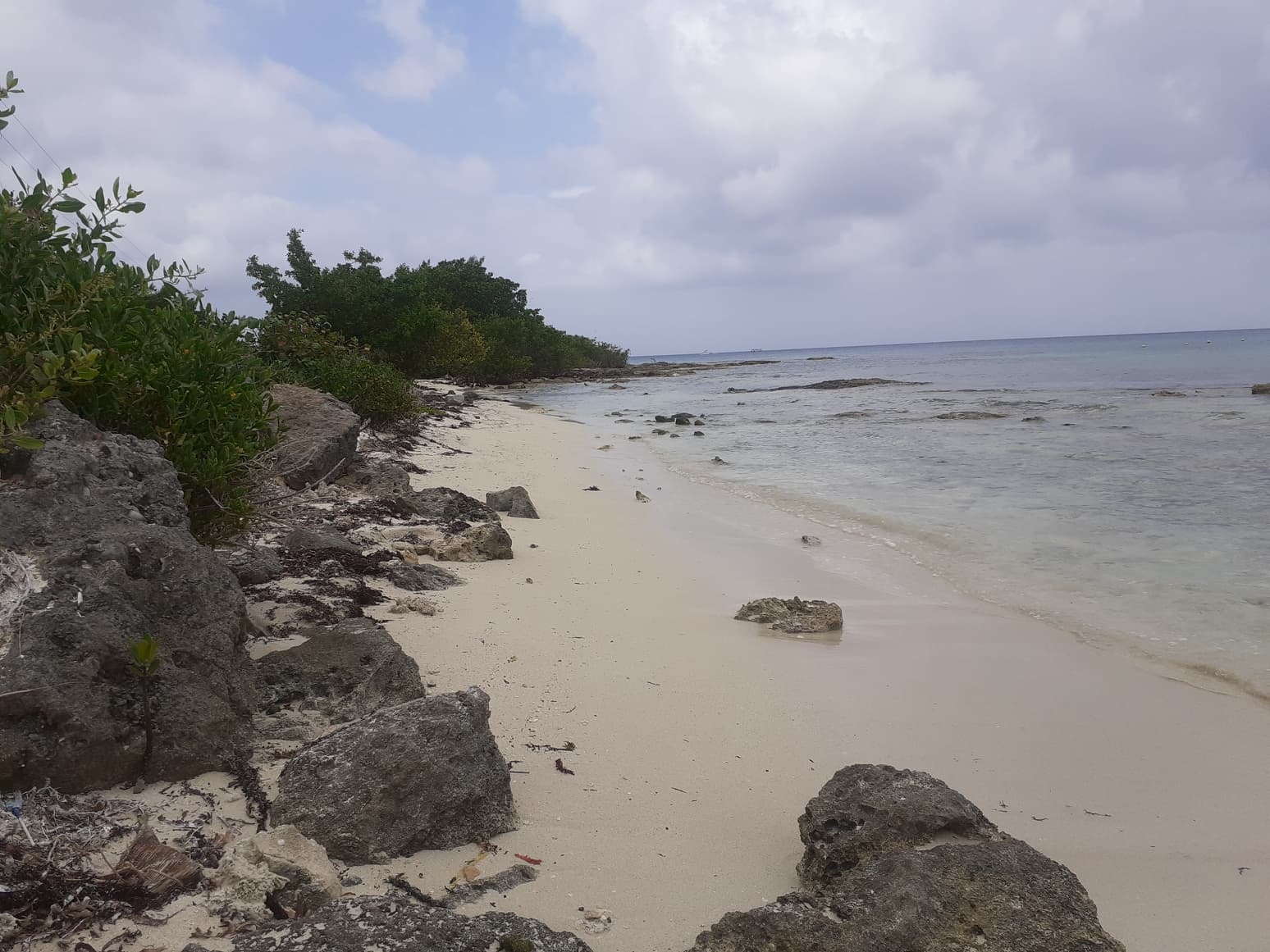 Los cozumeleños exigen que se la Ley de Bienes Nacionales donde se establece el libre acceso a la playas Los cozumeleños exigen que se la Ley de Bienes Nacionales donde se establece el libre acceso a la playas
