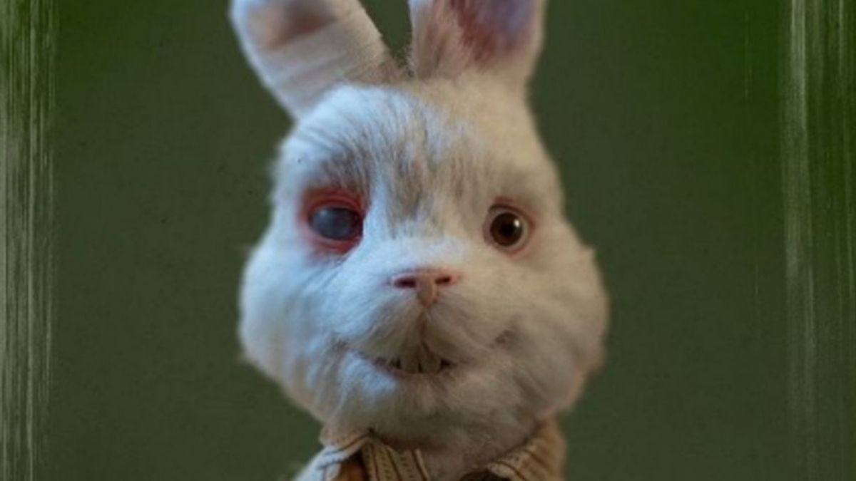 Pruebas de cosméticos en animales: Organismo llama contra el maltrato con emotivo video
Pruebas de cosméticos en animales: Organismo llama contra el maltrato con emotivo video