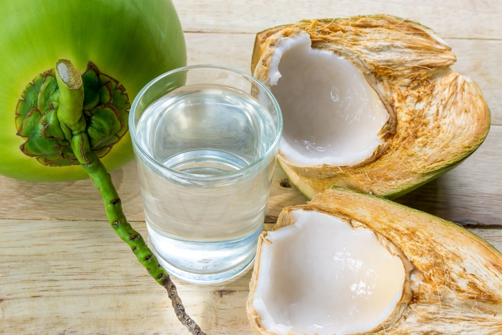 Festival del Coco en Progreso: Conoce los horarios, sede y actividades
