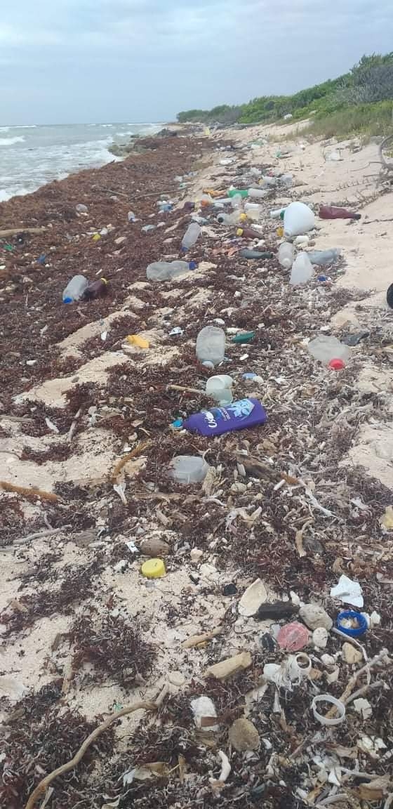 Mahahual se convierte en basurero internacional; es un riesgo para miles de especies