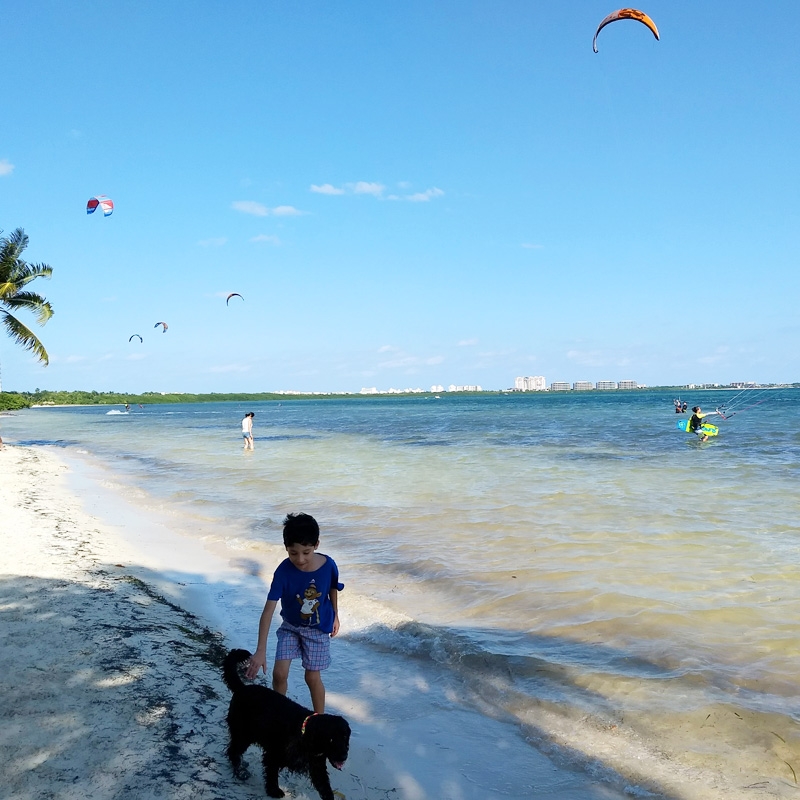 Lleva a tu mascota a Playa Coral, la única pet frendly