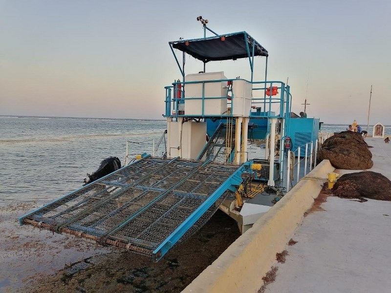 Embarcación sargacera en Mahahual