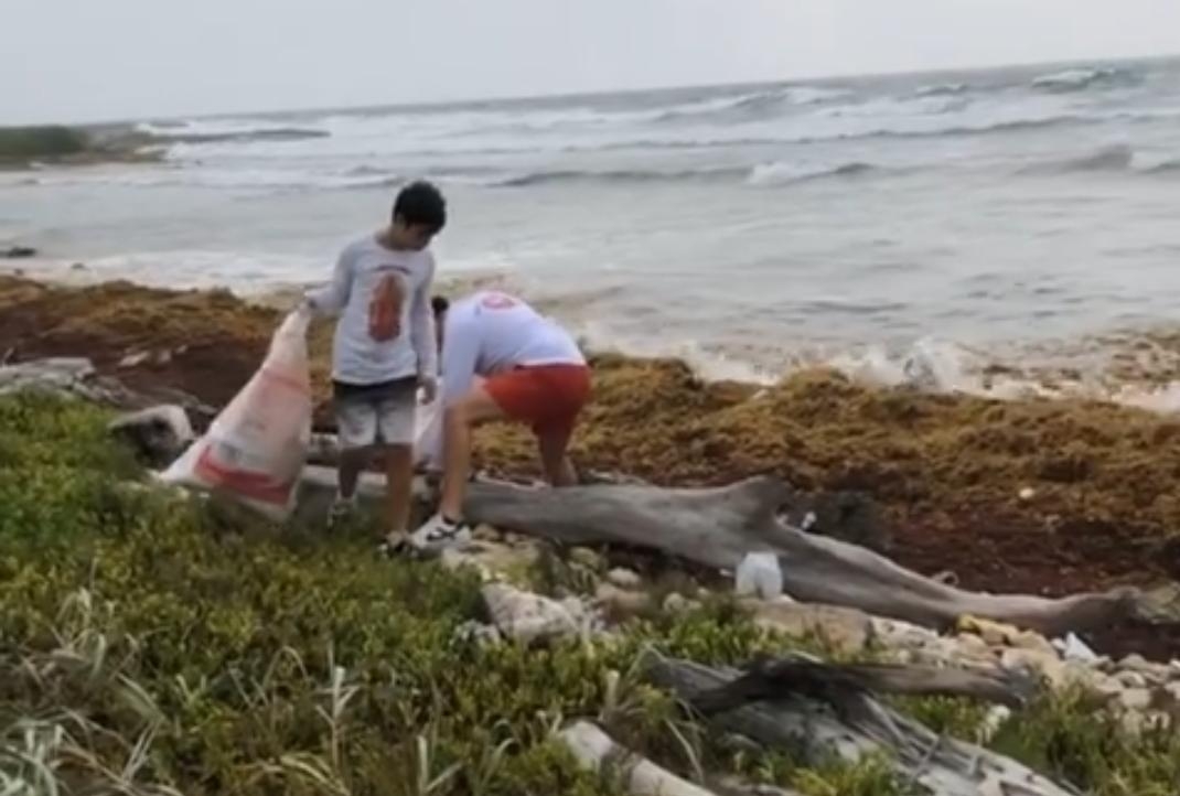Parte de la limpieza de playas en las costas de Mahahual