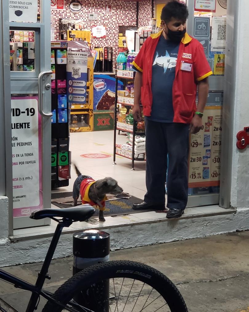 Un empleado del Oxxo llevó a su perrita al trabajo porque no tenía dónde dejarla
