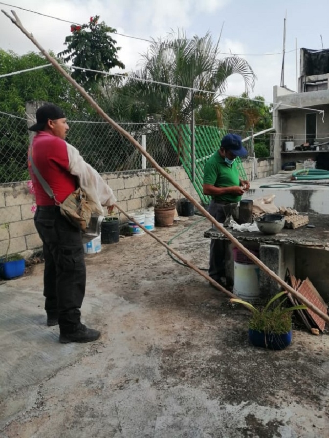 La muerte de las mascotas alertó a los vecinos de la colonia Centro