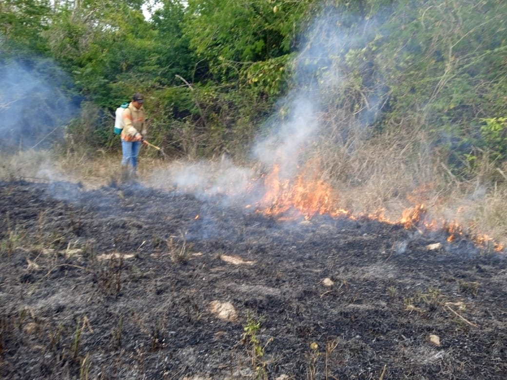Los cuerpos de emergencia empiezan a ser rebasados por los conatos de incendios