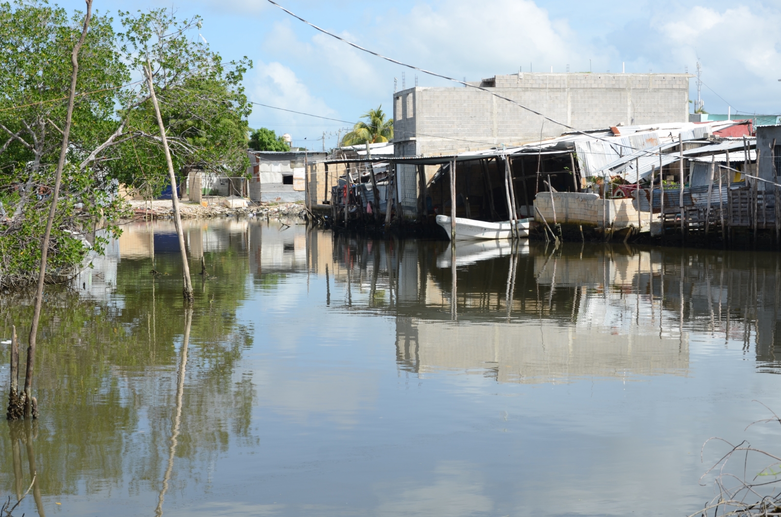 La filtración en una hectárea de manglar equivale a la producción de una planta tratadora de aguas negras, afirma Marea Azul