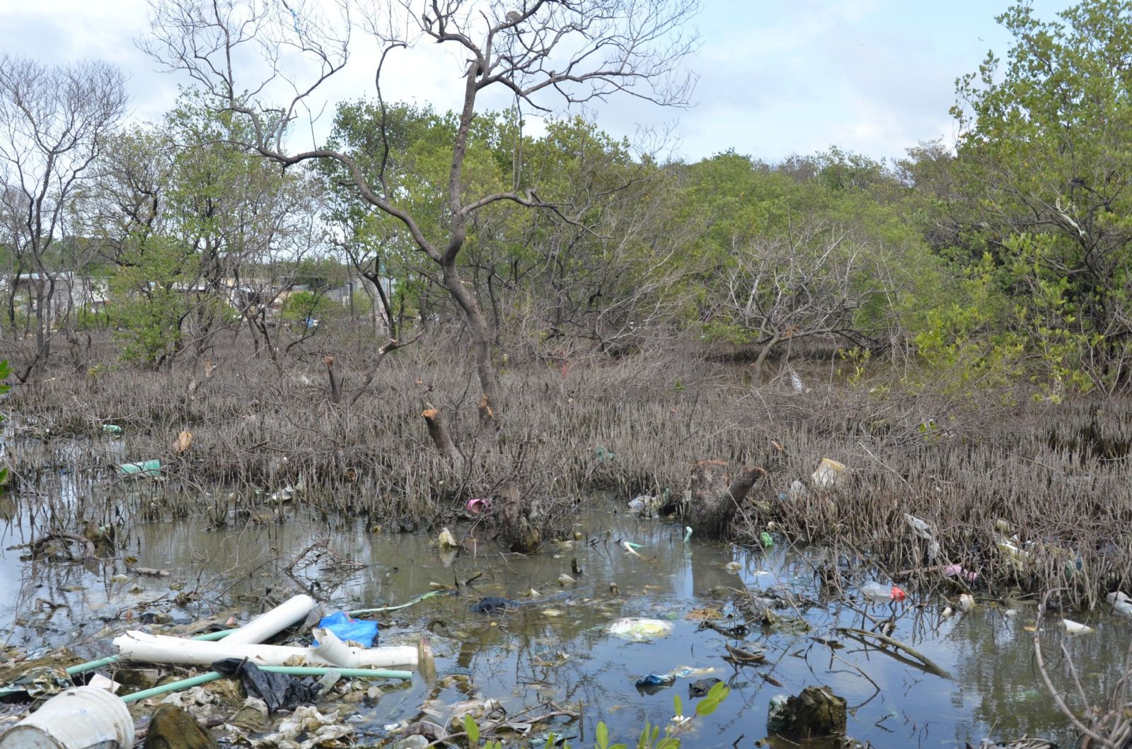 El IMCO puso a Campeche como el estado que peor maneja sus aguas residuales, pues sólo trata 1.4 litros de agua por cada mil habitantes El IMCO puso a Campeche como el estado que peor maneja sus aguas residuales, pues sólo trata 1.4 litros de agua por cada mil habitantes