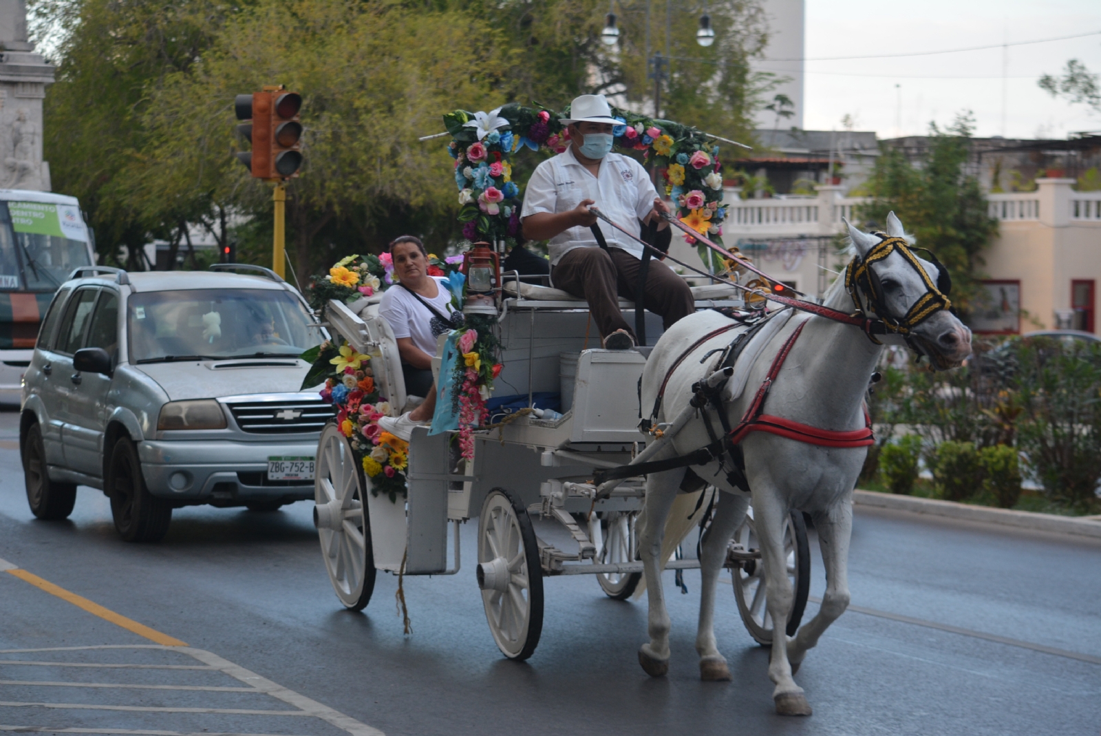 Calesas eléctricas romperían tradición centenaria en Mérida
