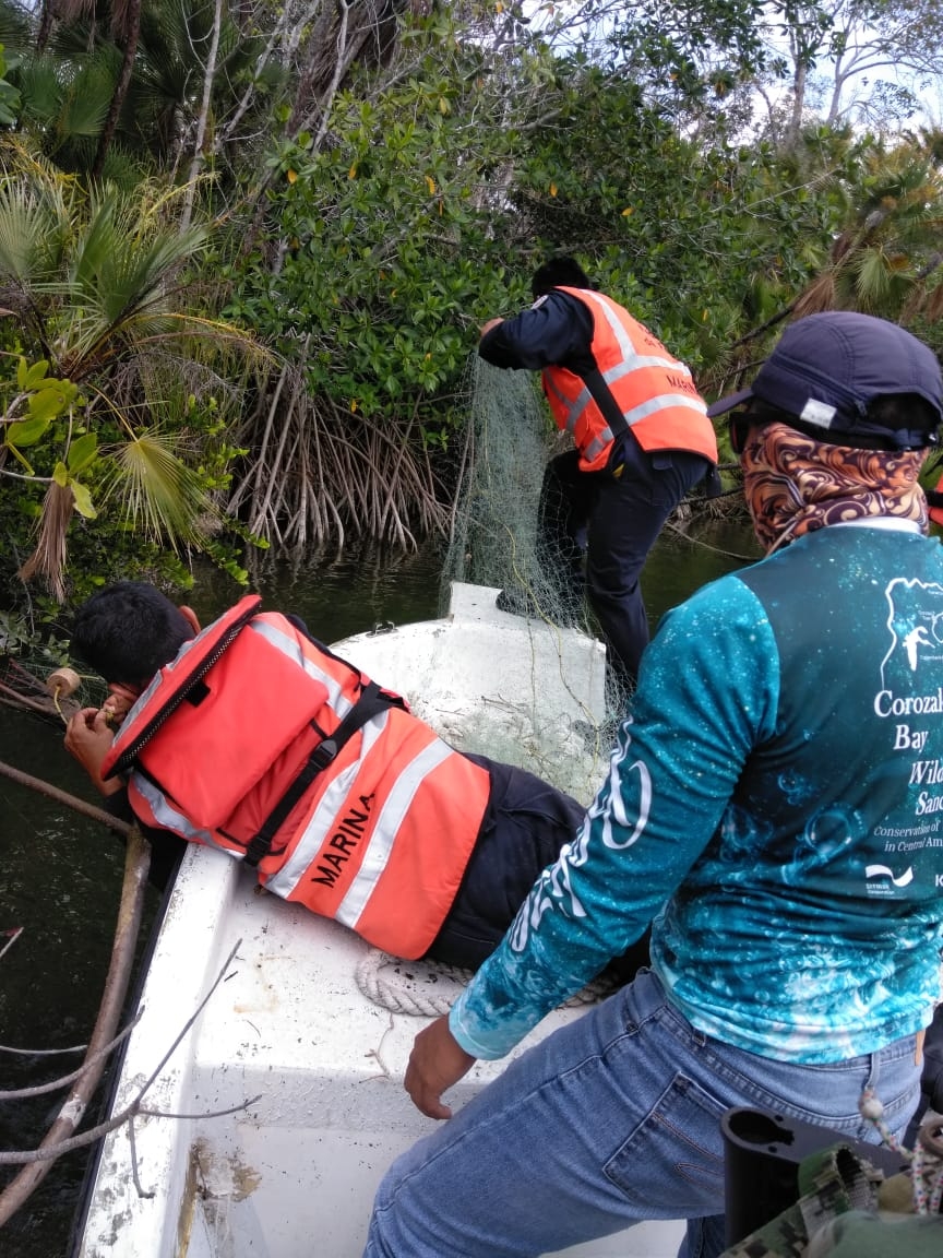 Semar retira redes de pesca ilegales en el Río Hondo al sur de Quintana Roo Semar retira redes de pesca ilegales en el Río Hondo al sur de Quintana Roo