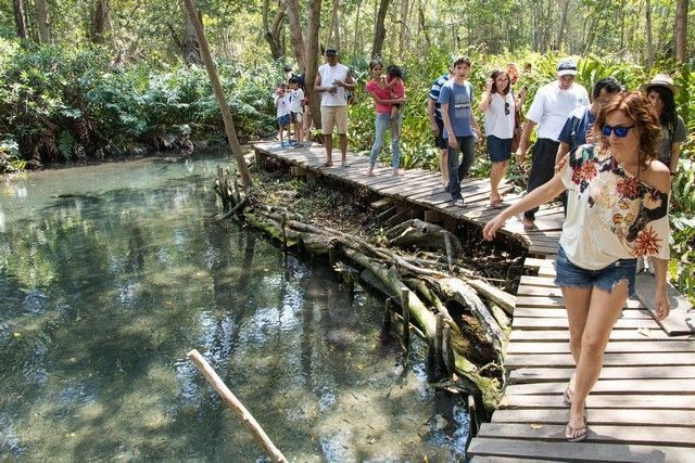 Guiado por lugareños, el visitante puede admirar a pie o en lancha este ecosistema. Guiado por lugareños, el visitante puede admirar a pie o en lancha este ecosistema.