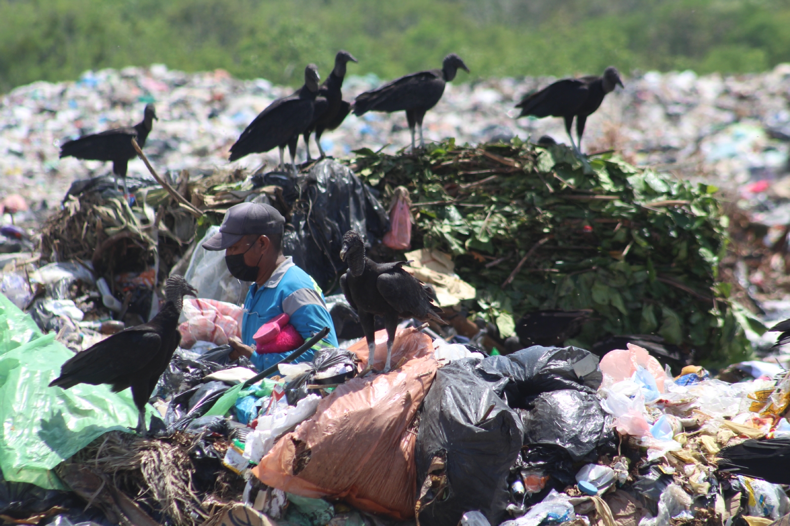 Pepenadores en Chetumal sobreviven a la crisis económica en Quintana Roo