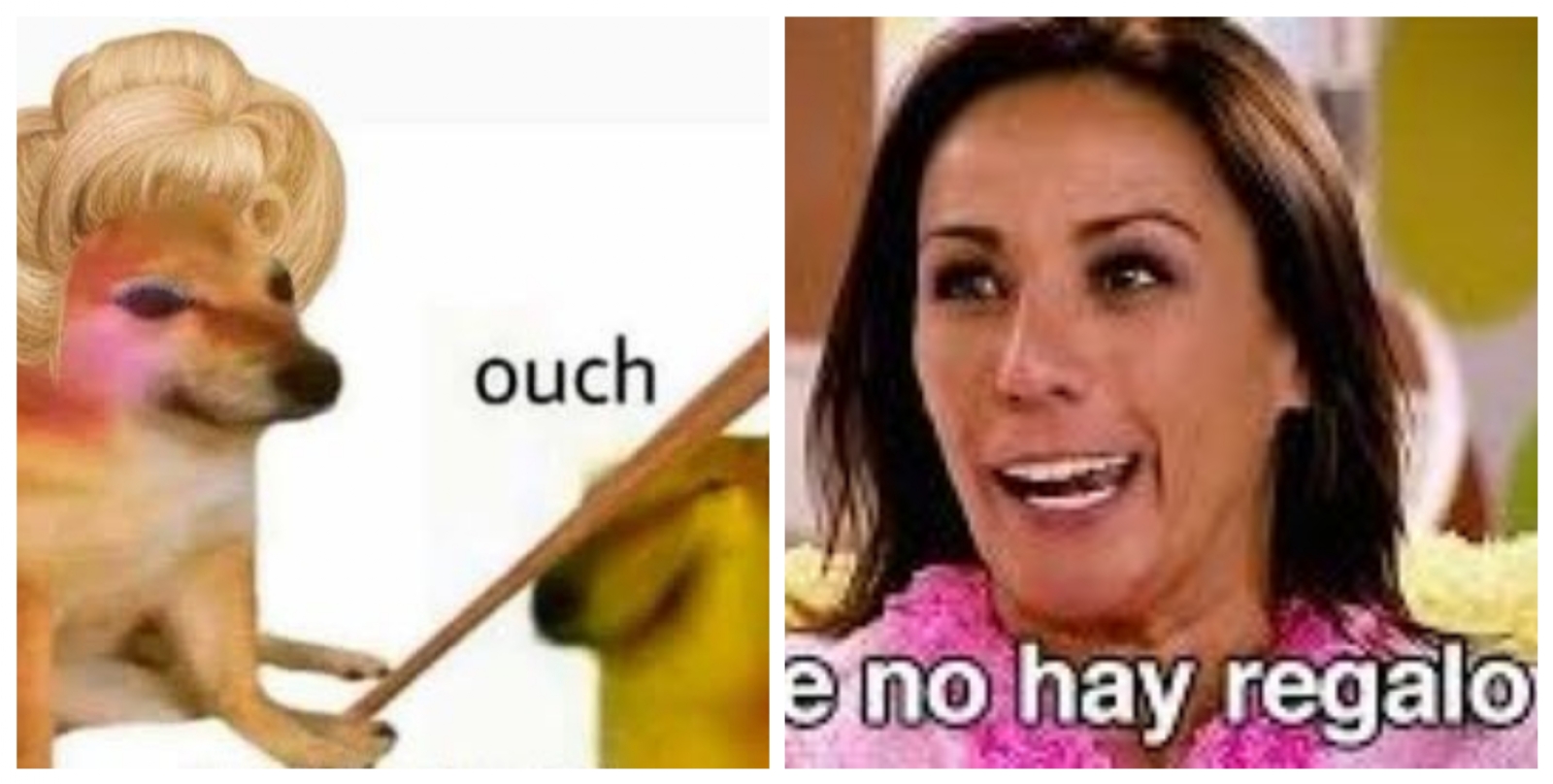 Memes del día de las madres