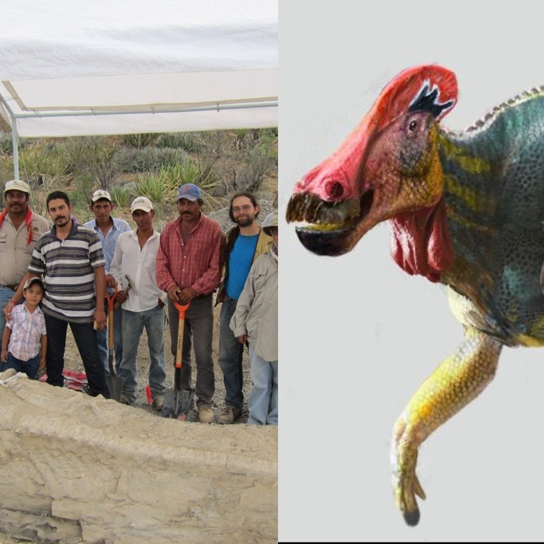 Identifican una nueva especie de dinosaurio en México