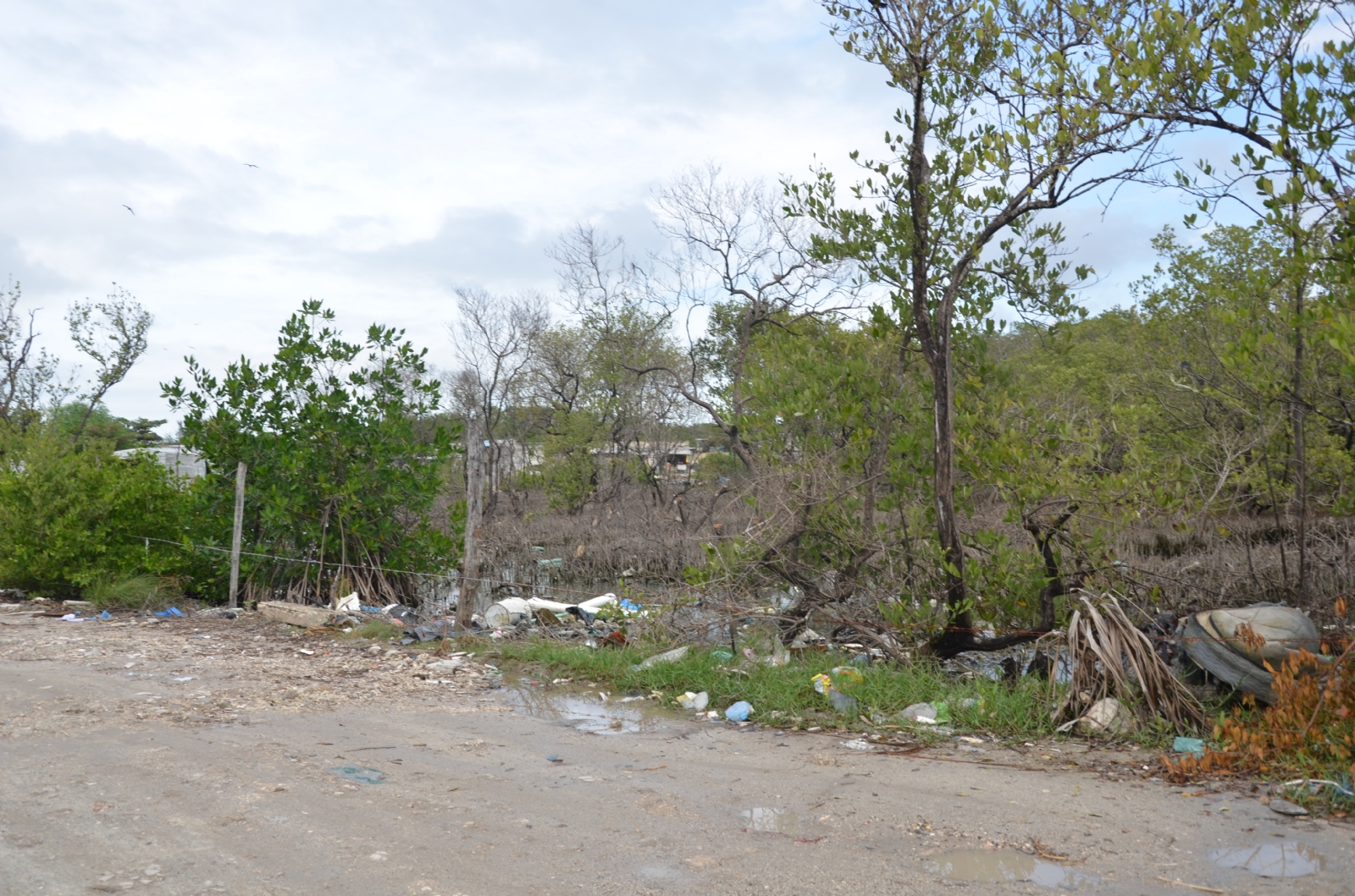 En la Península de Atasta se puede observar a lo largo de la carretera basureros clandestinos