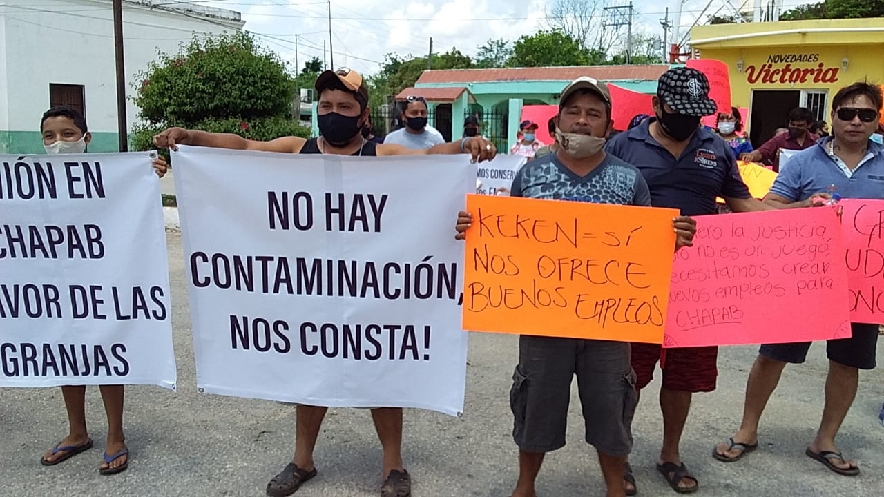 Trabajadores aseguran que no existe contaminación con el funcionamiento de las granjas porcícolas