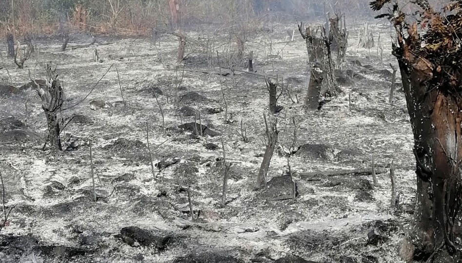 Incendio deja sin internet a habitantes de Valladolid
