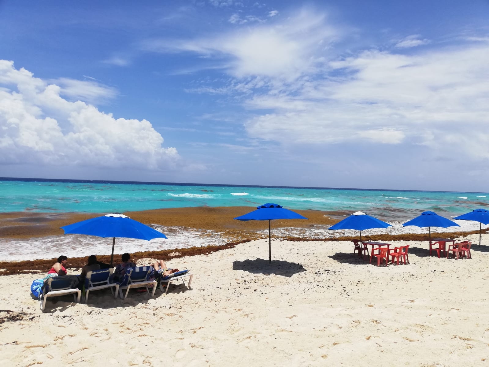Las playas se han visto afectadas con la llegada del Sargazo