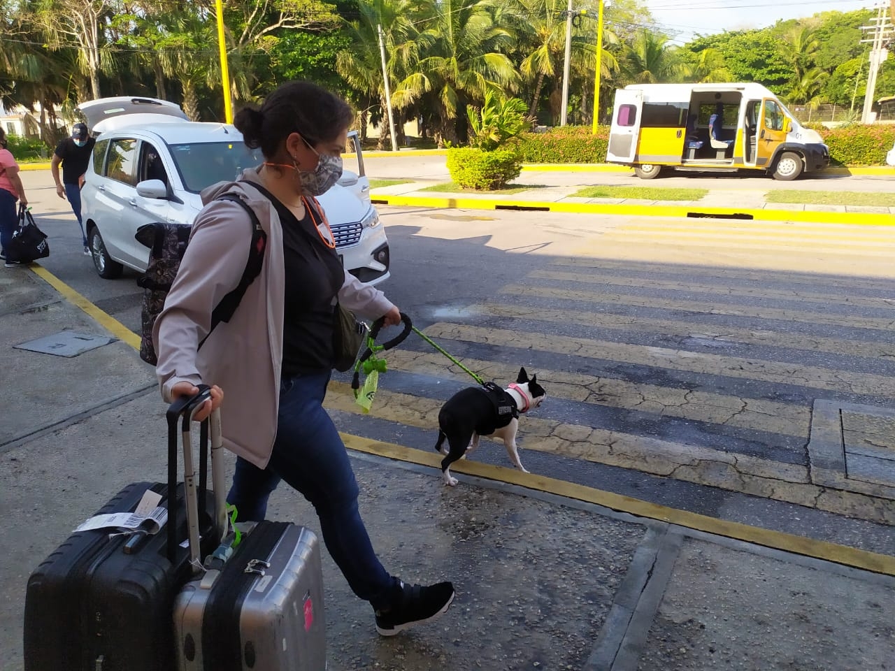 La raza Pug no pueden viajar en el compartimiento de equipaje debido a su tipo de nariz, achatada lo que le impide respirar La raza Pug no pueden viajar en el compartimiento de equipaje debido a su tipo de nariz, achatada lo que le impide respirar
